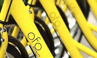 ofo最新爆料,揭秘共享单车巨头背后的真相与困境”