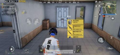 巡查员最新爆料,揭秘隐藏在暗处的惊人真相